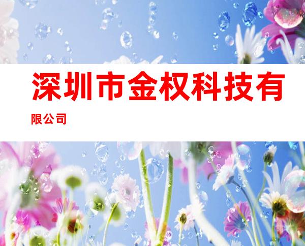 深圳市金权科技有限公司